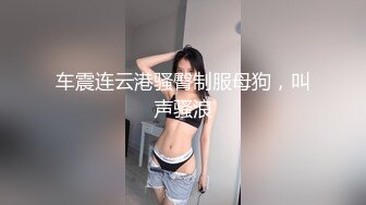 车震连云港骚臀制服母狗，叫声骚浪