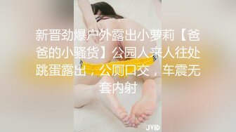 爆乳御姐顶级超人气爆乳女神 乐乐,经典痴汉电车