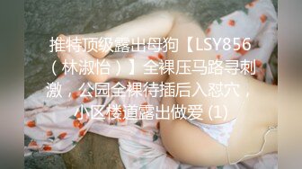 推特顶级露出母狗【LSY856（林淑怡）】全裸压马路寻刺激，公园全裸待插后入怼穴，小区楼道露出做爱 (1)