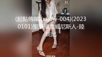 (起點傳媒)(xsjbw-004)(20230101)聖誕福音威尼斯人-陸斑比