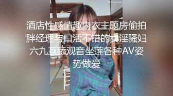 酒店性感情趣内衣主题房偷拍胖经理与口活不错的卖淫骚妇六九互舔观音坐莲各种AV姿势做爱