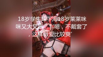 巨乳潜入捜査官 佐山爱