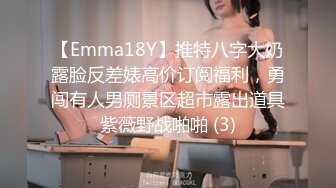 【Emma18Y】推特八字大奶露脸反差婊高价订阅福利，勇闯有人男厕景区超市露出道具紫薇野战啪啪 (3)