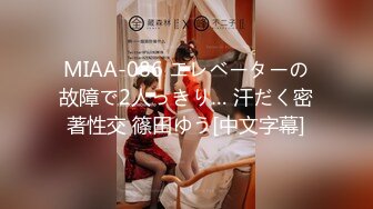 MIAA-086 エレベーターの故障で2人っきり… 汗だく密著性交 篠田ゆう[中文字幕]