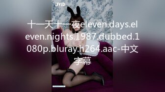 十一天十一夜eleven.days.eleven.nights.1987.dubbed.1080p.bluray.h264.aac-中文字幕