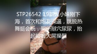 麻豆春游记兔子先生淫过年