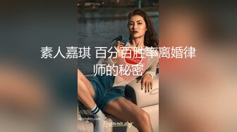 素人嘉琪 百分百胜率离婚律师的秘密