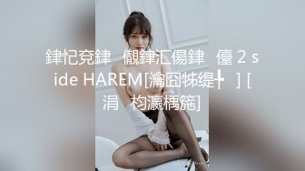 銉忋兗銉儬銉汇偒銉儓 2 side HAREM[瀹囧牬缇╄] [涓枃瀛楀箷]