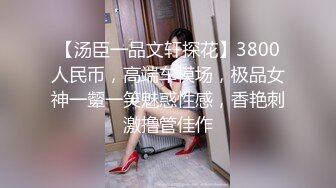 【汤臣一品文轩探花】3800人民币，高端车模场，极品女神一颦一笑魅惑性感，香艳刺激撸管佳作