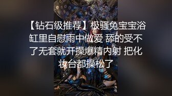 抗拒者系列之美早子