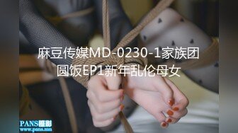 麻豆传媒MD-0230-1家族团圆饭EP1新年乱伦母女