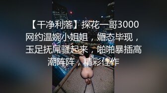 【干净利落】探花一哥3000网约温婉小姐姐，媚态毕现，玉足抚屌骚起来，啪啪暴插高潮阵阵，精彩佳作