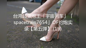 台湾超强炮王「宇宙列车」「spacetrain7654」OF约炮实录【第五弹】 (19)