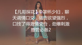 【凡哥探花】D罩杯少妇，聊天调情口交，骚货欲望强烈，口技了得激情交合，劲爆刺激撸管必备2