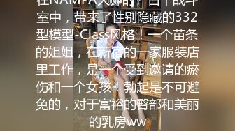 在NAMPA大师的一百个战斗室中，带来了性别隐藏的332型模型-Class风格！一个苗条的姐姐，在新宿的一家服装店里工作，是一个受到邀请的瘀伤和一个女孩！勃起是不可避免的，对于富裕的臀部和美丽的乳房ww