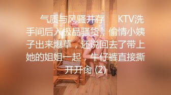 ❤️气质与风骚并存❤️KTV洗手间后入极品骚货，偷情小姨子出来爆草，还说回去了带上她的姐姐一起，牛仔裤直接撕开开肏 (2)