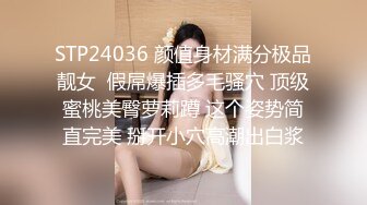 麻豆传媒-心怀鬼胎家政夫-白沛瑶 季妍希