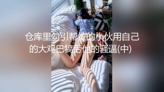 8 安防情趣酒店实录 大哥让大嫂穿上了性感的情趣衣 啪啪一顿就是搞  《上》 应大哥们要求剪切补发