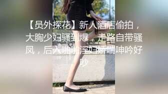 【员外探花】新人酒店偷拍，大胸少妇骚到爆，走路自带骚凤，后入啪啪淫妇娇喘呻吟好吵