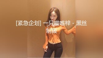 【溏心】【辛尤里】地铁里面激情做爱