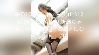 (HD1080P)(車フェラ)(fc3126794)ARIGATOU 新潟ちゃん「今年で引退することになりました」 (1)