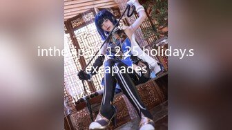 inthevip.11.12.25.holiday.sexcapades