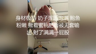 巅峰欲望车模极品身材爆操打穿猛射