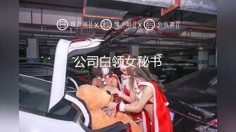 公司白领女秘书