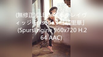 《极品CP重磅泄密》厕拍达人景区女公厕偸拍后续9 各种高质量气质小姐姐方便~姿态百出赏逼赏脸有美女有极品逼 (9)