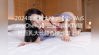 2024年推特大神，【尘-WuSexyCheng】三亚高端KTV陪玩巨乳大长腿直接沙发上干