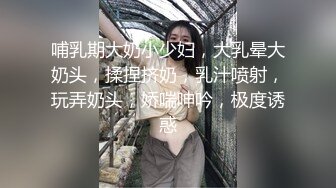 哺乳期大奶小少妇，大乳晕大奶头，揉捏挤奶，乳汁喷射，玩弄奶头，娇喘呻吟，极度诱惑