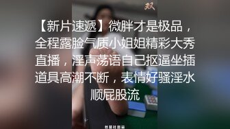 商场女厕万里挑一的极品淑女人美B更美