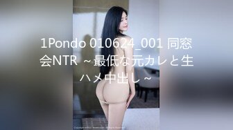 1Pondo 010624_001 同窓会NTR ～最低な元カレと生ハメ中出し～