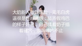 麻豆传媒映画MD-0022约炮同事-与同事的秘密性爱 超清1080P片源流出