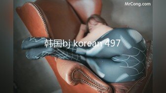 韩国bj korean 497