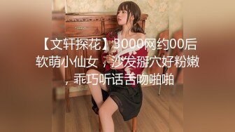 【文轩探花】3000网约00后软萌小仙女，沙发掰穴好粉嫩，乖巧听话舌吻啪啪