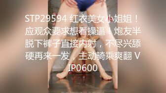 女仆少女 能否满足你的少女梦