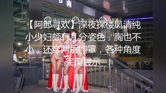 【极品泄密】风骚气质美女和男友日常啪啪记录流出，超长1小时