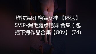 维拉舞团 艳舞女神 【琳达】SVIP-漏毛露点艳舞 合集（包括下海作品合集【80v】 (74)