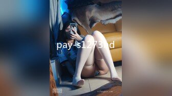 pay-s1273hd