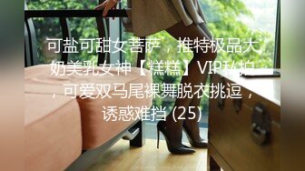 可盐可甜女菩萨，推特极品大奶美乳女神【糕糕】VIP私拍，可爱双马尾裸舞脱衣挑逗，诱惑难挡 (25)