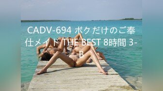 CADV-694 ボクだけのご奉仕メイド THE BEST 8時間 3-B