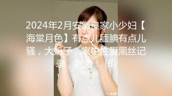 2024年2月安徽良家小少妇【海棠月色】有点儿腼腆有点儿骚，大奶子，家中性爱黑丝记录，刺激！ (6)