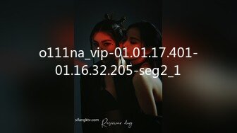 o111na_vip-01.01.17.401-01.16.32.205-seg2_1