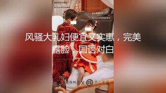 风骚大乳妇便宜又实惠，完美露脸，国语对白