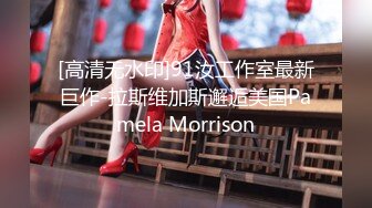 [高清无水印]91汝工作室最新巨作-拉斯维加斯邂逅美国Pamela Morrison