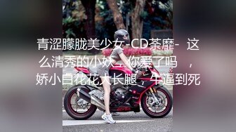 【新片速遞】  黑丝高跟女仆露脸小骚逼镜头前的诱惑，揉奶玩逼互动撩骚，逼逼里塞着跳蛋各种展示，淫声荡语表情妩媚好刺激