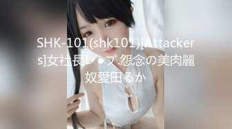 SHK-101(shk101)[Attackers]女社長レ●プ.怨念の美肉麗奴愛田るか