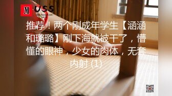 小狐狸爱诺探花约啪良家丰满少妇，大奶子好性感没忍住内射