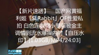 【新片速遞】  ✨国产网黄福利姬「SLRabbit」OF性爱私拍 白色连衣裙小萝莉被金主调情到流水爆操内射【自压水印】[1.03GB/MP4/24:03]